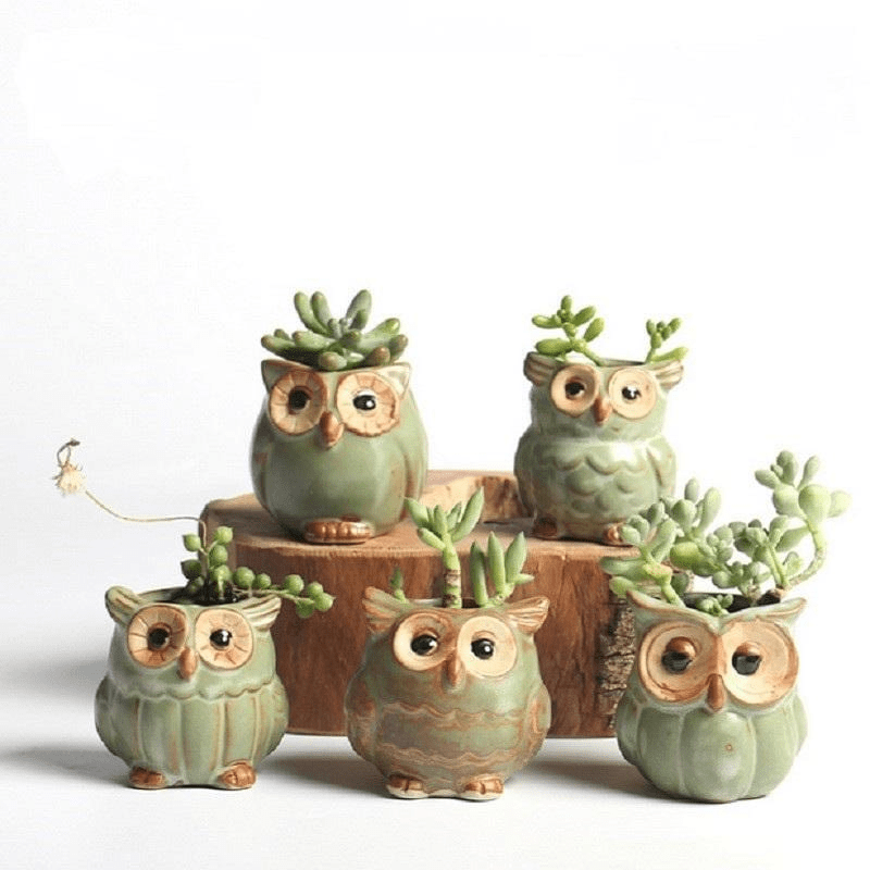 Ceramic Owl Flower Pot Set
