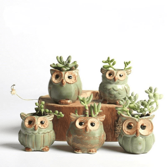 Ceramic Owl Flower Pot Set with Imaginative Designs