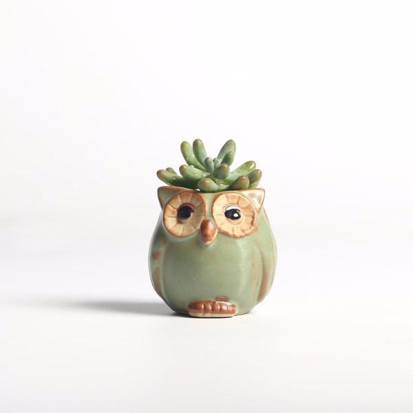 Ceramic Owl Flower Pot Set