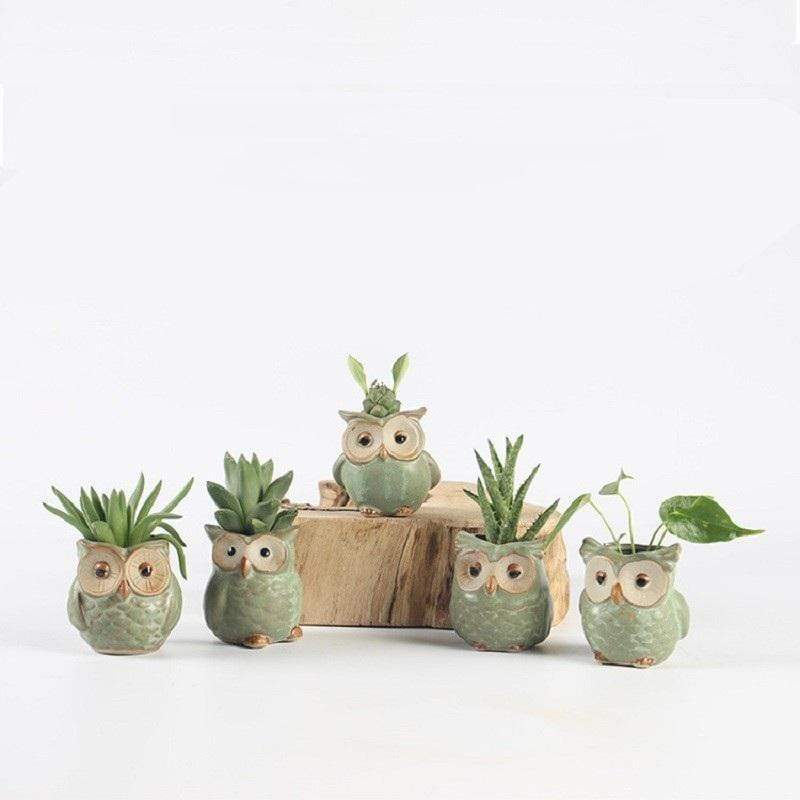 Ceramic Owl Flower Pot Set