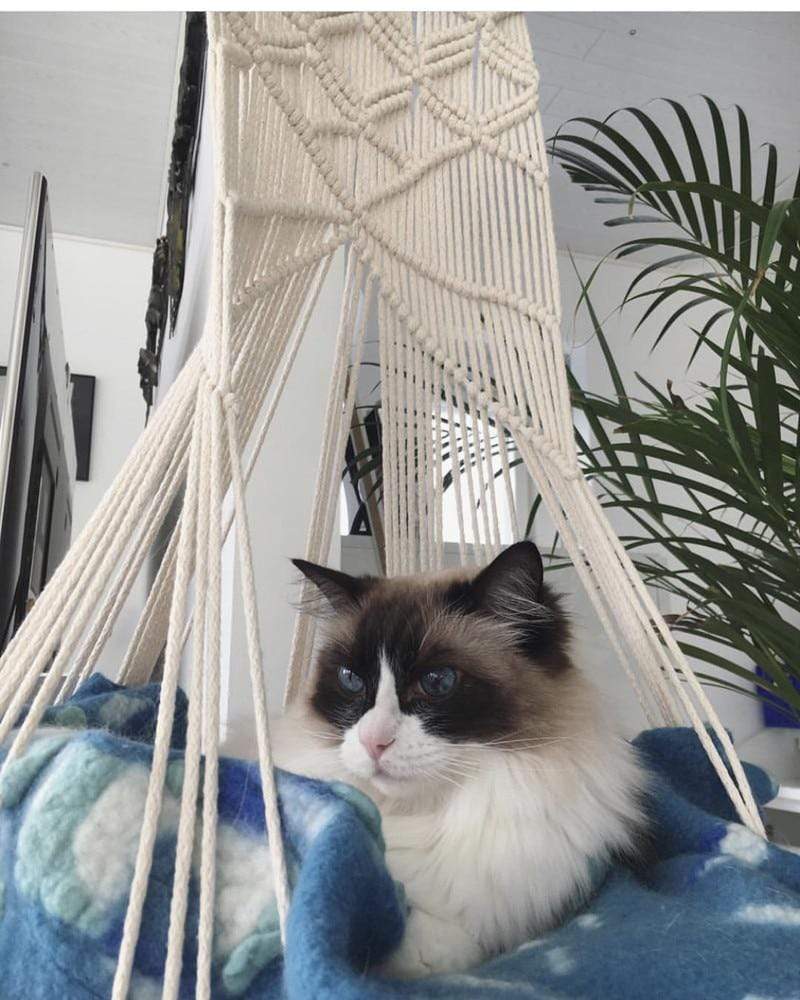 Handcrafted Macrame Cat Bed in White Cotton Rope