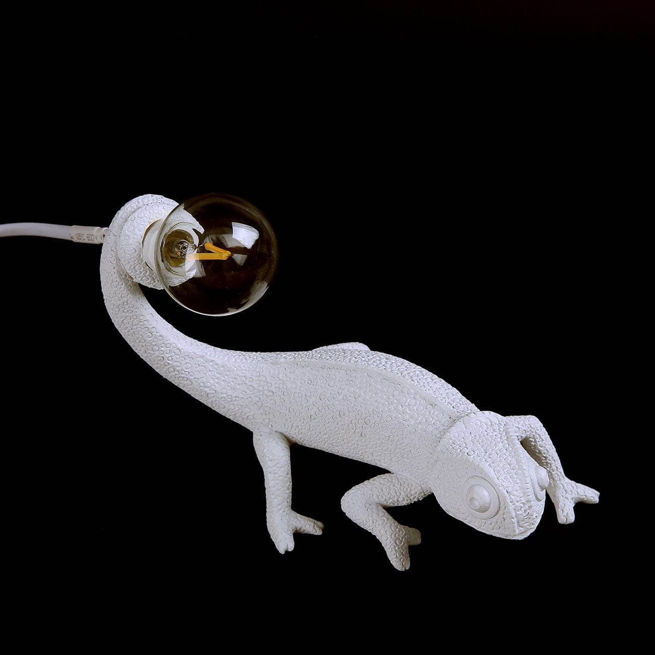 Chameleon Resin Table Lamp with LED Light