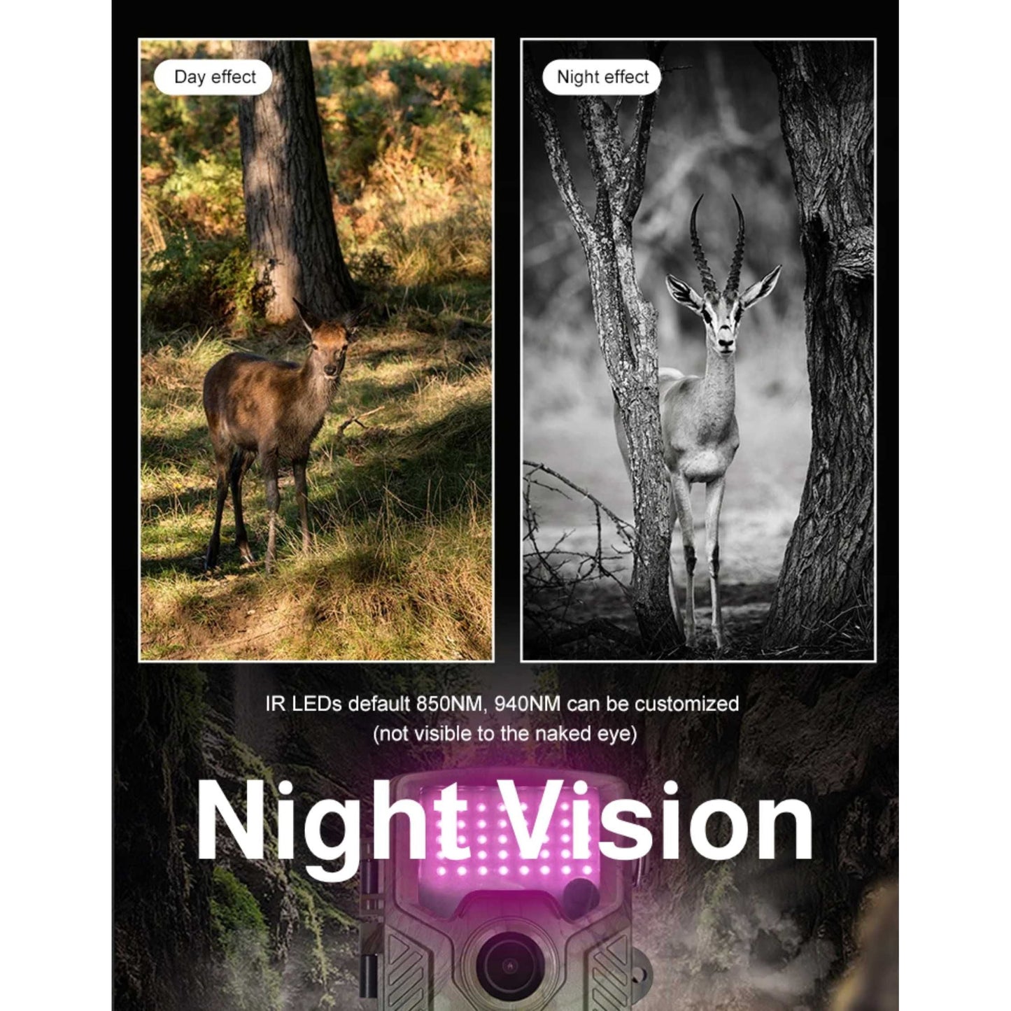 Wildlife Camera with Quick Activation and 21MP Image Quality