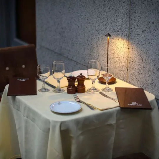Wireless Rechargeable LED Table Lamp with Dimmable Brightness